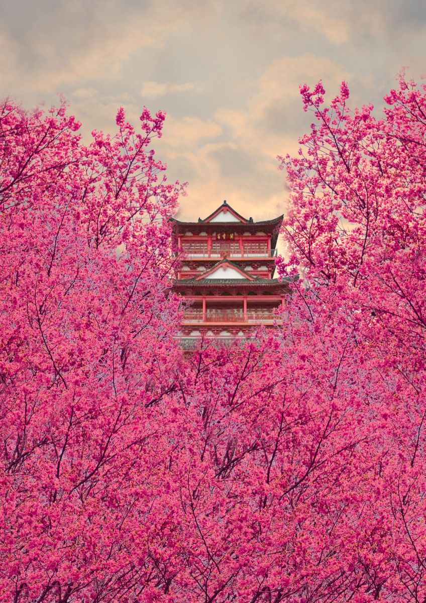 BETWAY·必威(西汉姆联)官方网站-West Ham United